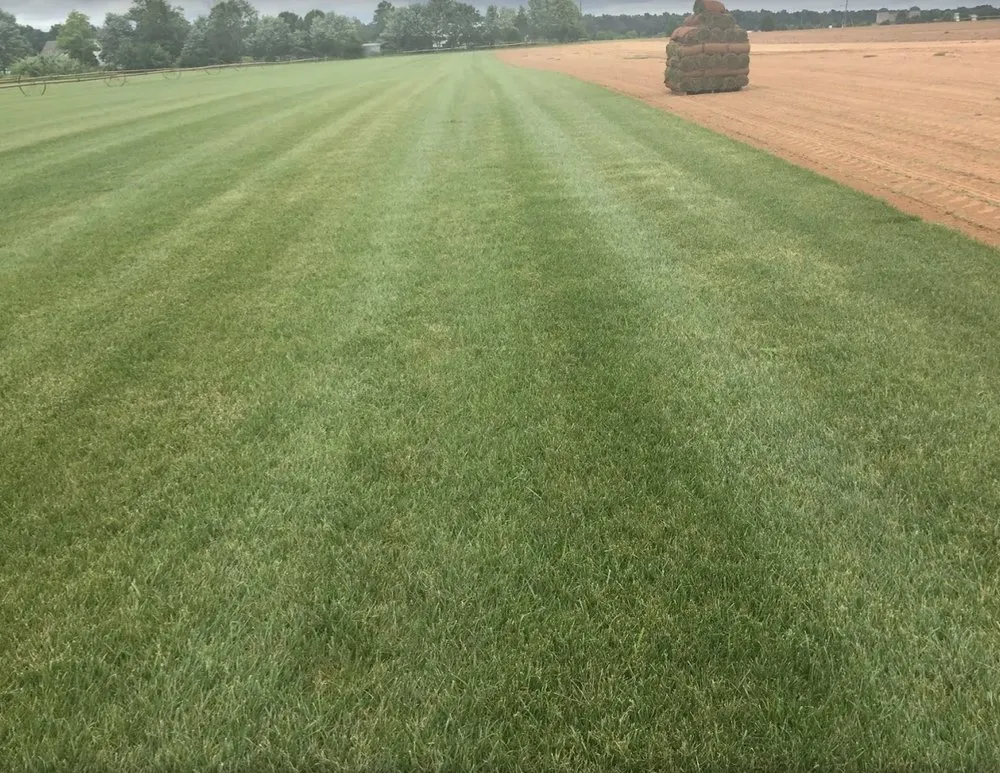 Reliable yard maintenance in Burtonsville, MD - Diaz landscaping