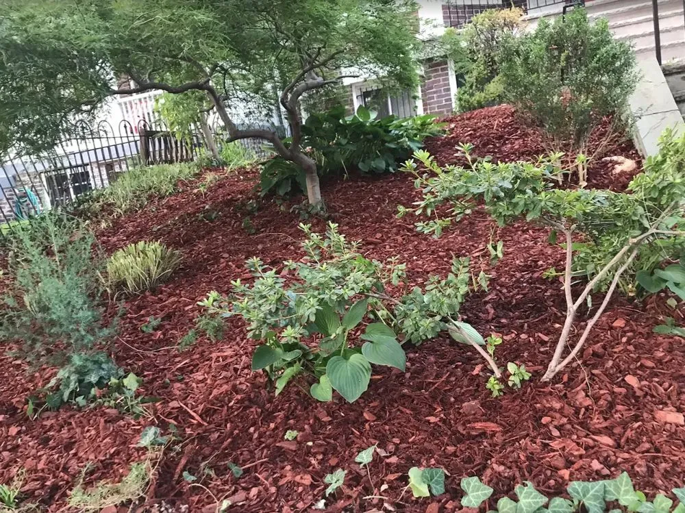 Expert landscape design in Burtonsville, MD by Diaz landscaping