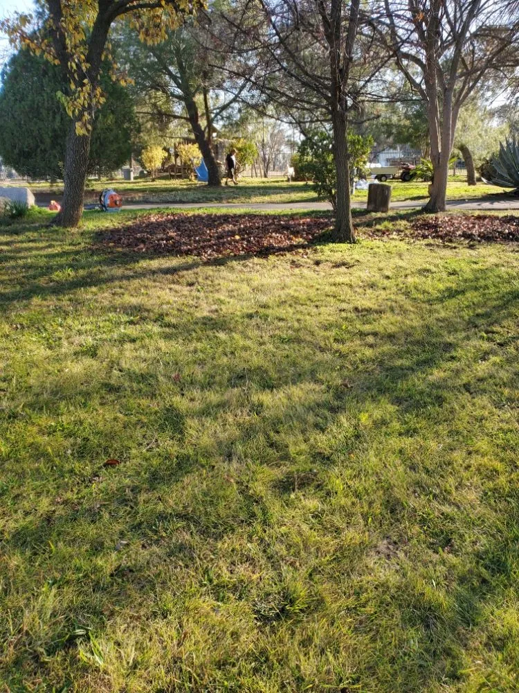 Local landscaping services experts serving Fairfield, CA - Diaz landscaping
