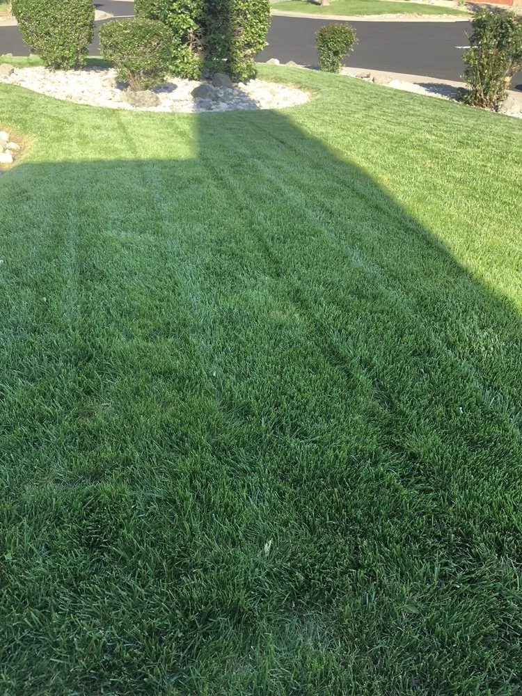 Professional yard maintenance in Fairfield, CA by Diaz landscaping