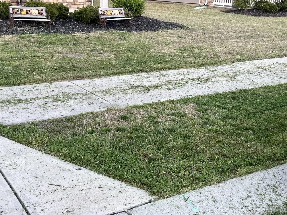 Trusted landscaping services in Indian Trail, NC - Diaz Landscaping