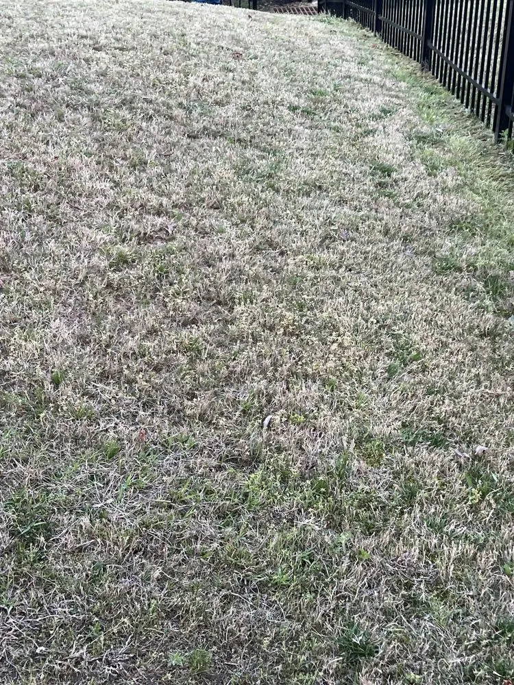 Expert landscaping services in Indian Trail, NC - Diaz Landscaping