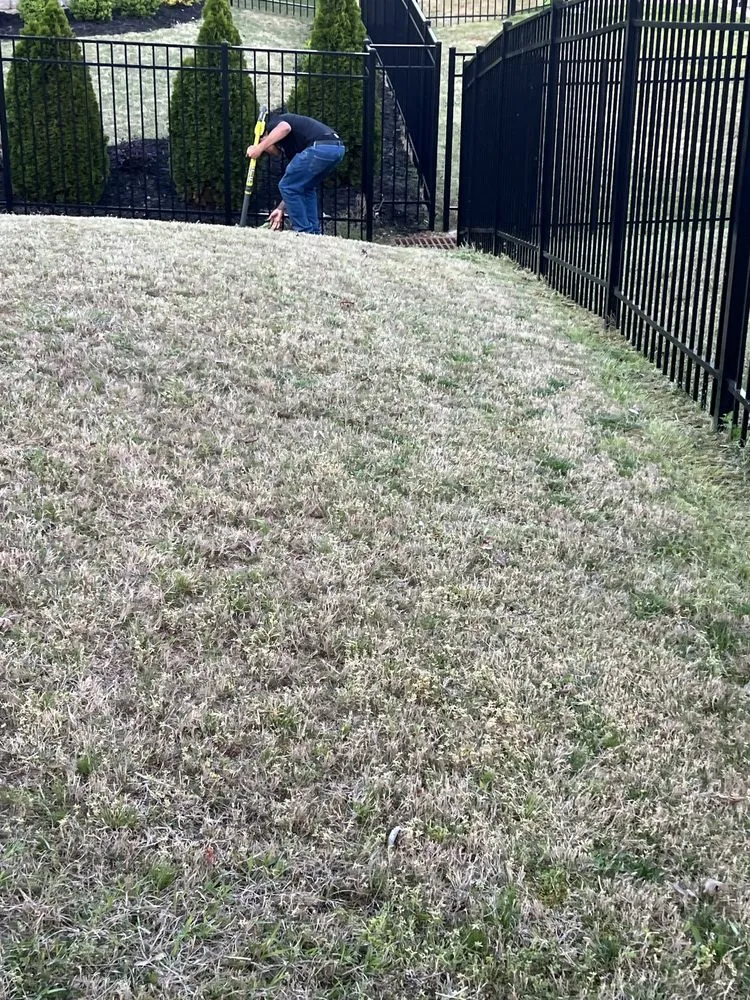 Expert outdoor landscaping experts serving Indian Trail, NC - Diaz Landscaping