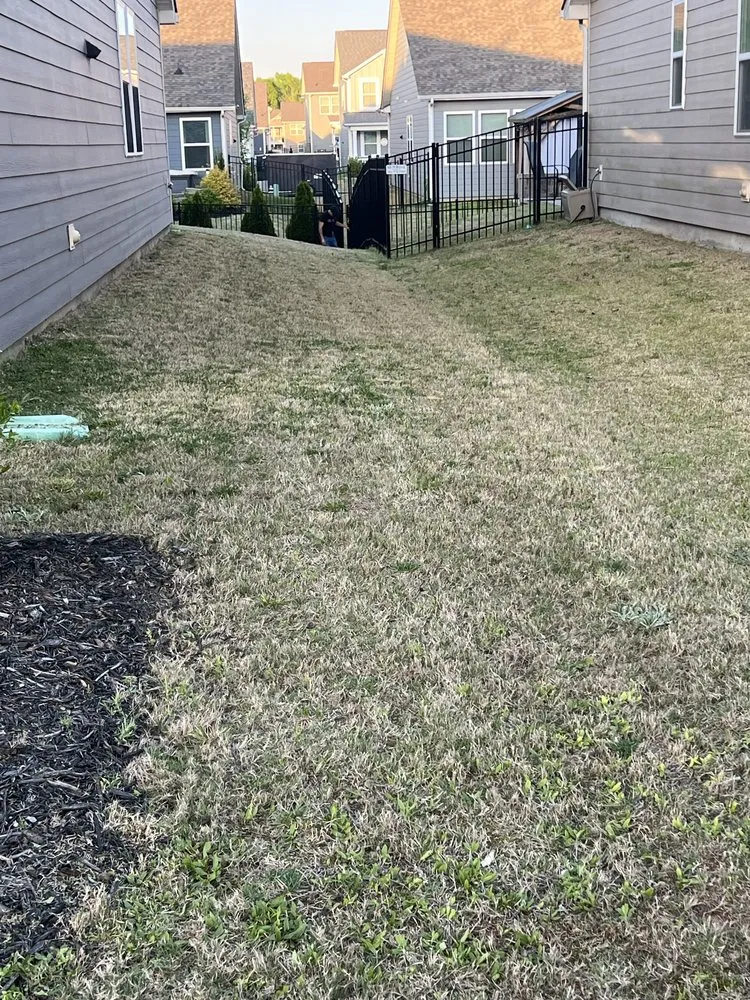 Top-rated lawn care service in Indian Trail, NC by Diaz Landscaping