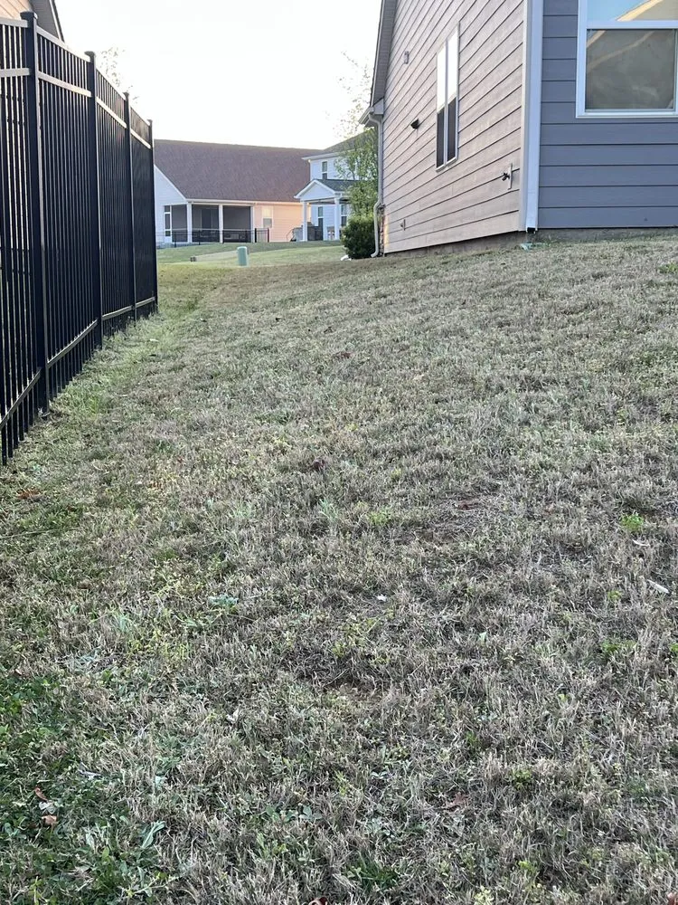 Affordable lawn care service experts serving Indian Trail, NC - Diaz Landscaping