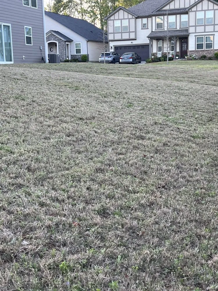 Reliable lawn care service experts serving Indian Trail, NC - Diaz Landscaping