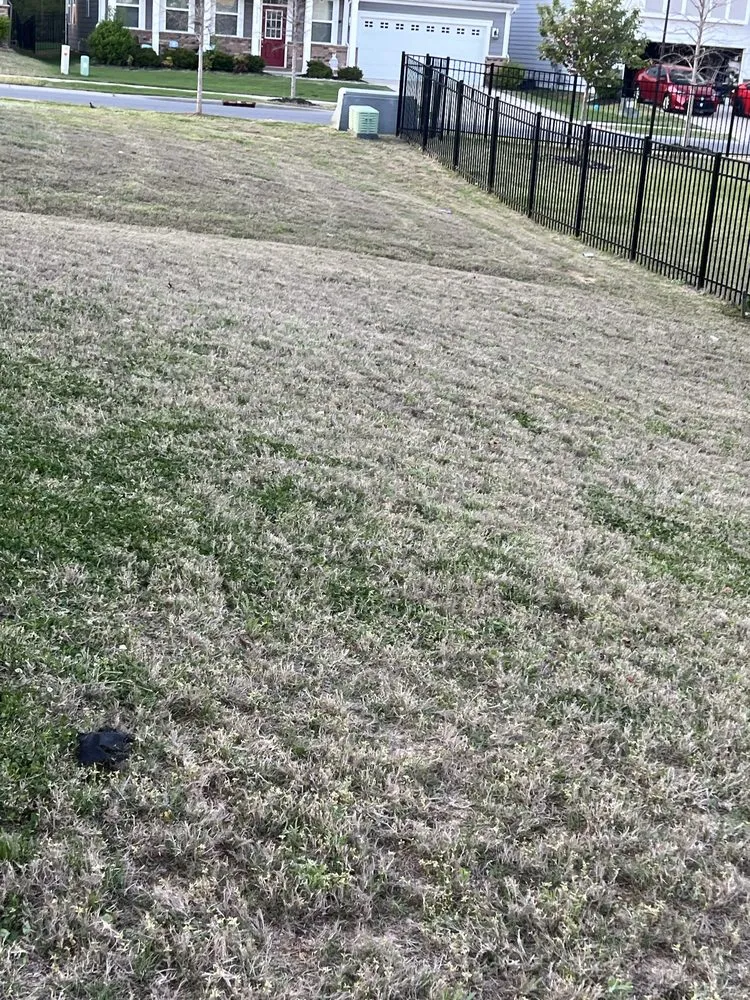 Trusted landscape installation in Indian Trail, NC by Diaz Landscaping