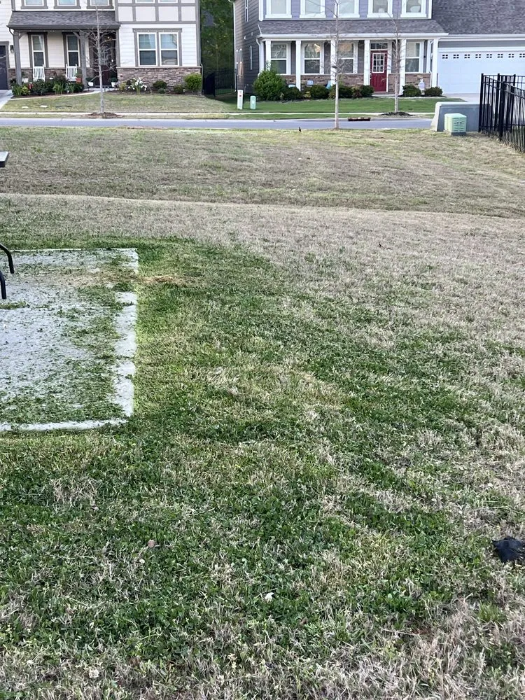 Reliable landscaping services in Indian Trail, NC - Diaz Landscaping