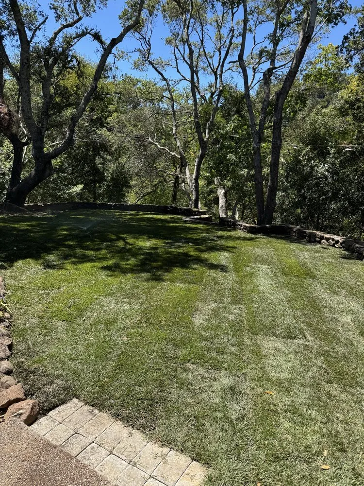 Affordable landscape installation experts serving Larkspur, CA - Diaz Landscaping