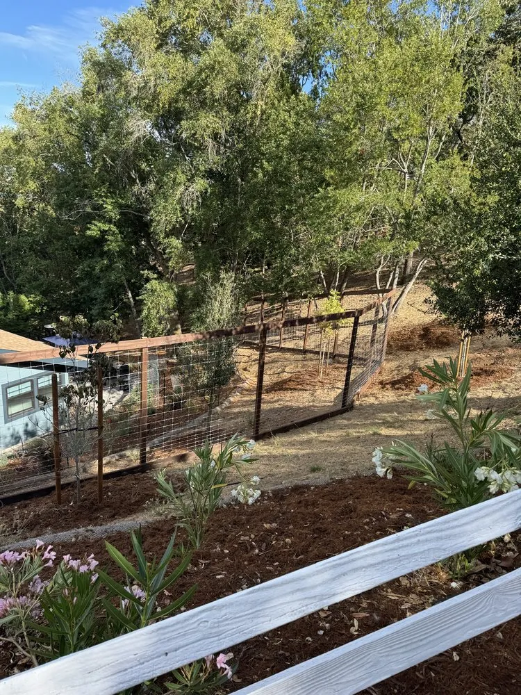 Custom yard cleanup service for year-round maintenance in Larkspur, CA by Diaz Landscaping