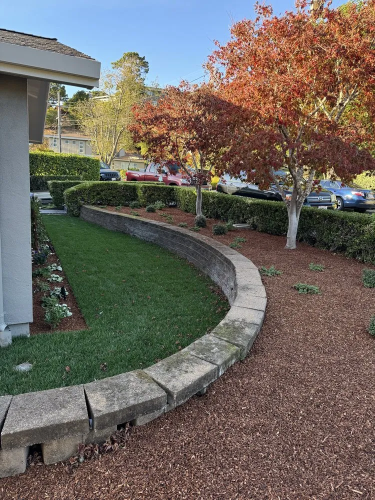 Custom yard maintenance in Larkspur, CA by Diaz Landscaping