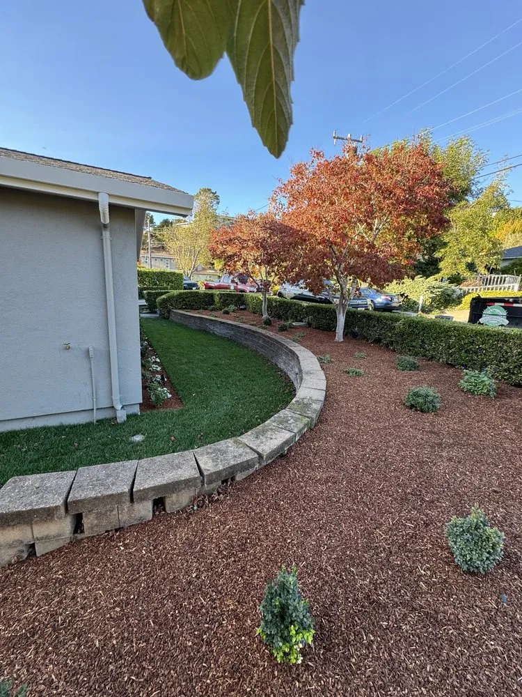 Local landscape design for residential properties across Larkspur, CA - Diaz Landscaping