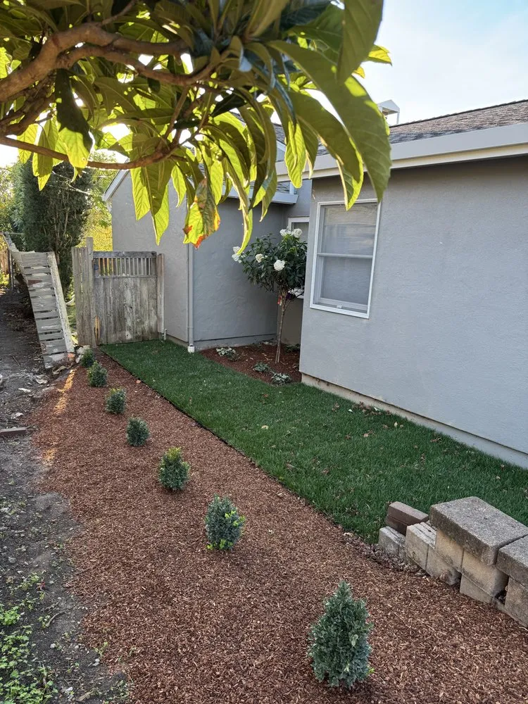 Trusted lawn care service experts serving Larkspur, CA - Diaz Landscaping