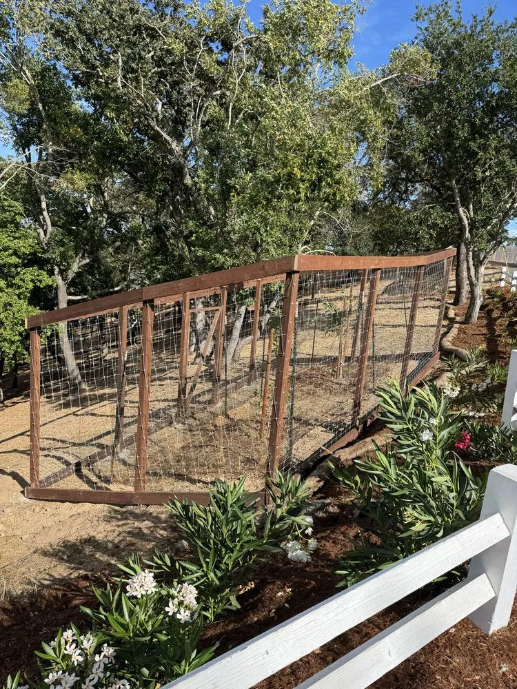 Local landscape design for residential properties across Larkspur, CA - Diaz Landscaping