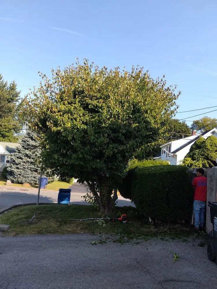 Local yard cleanup service for outdoor upgrades in Lowell, MA by Diaz Landscaping