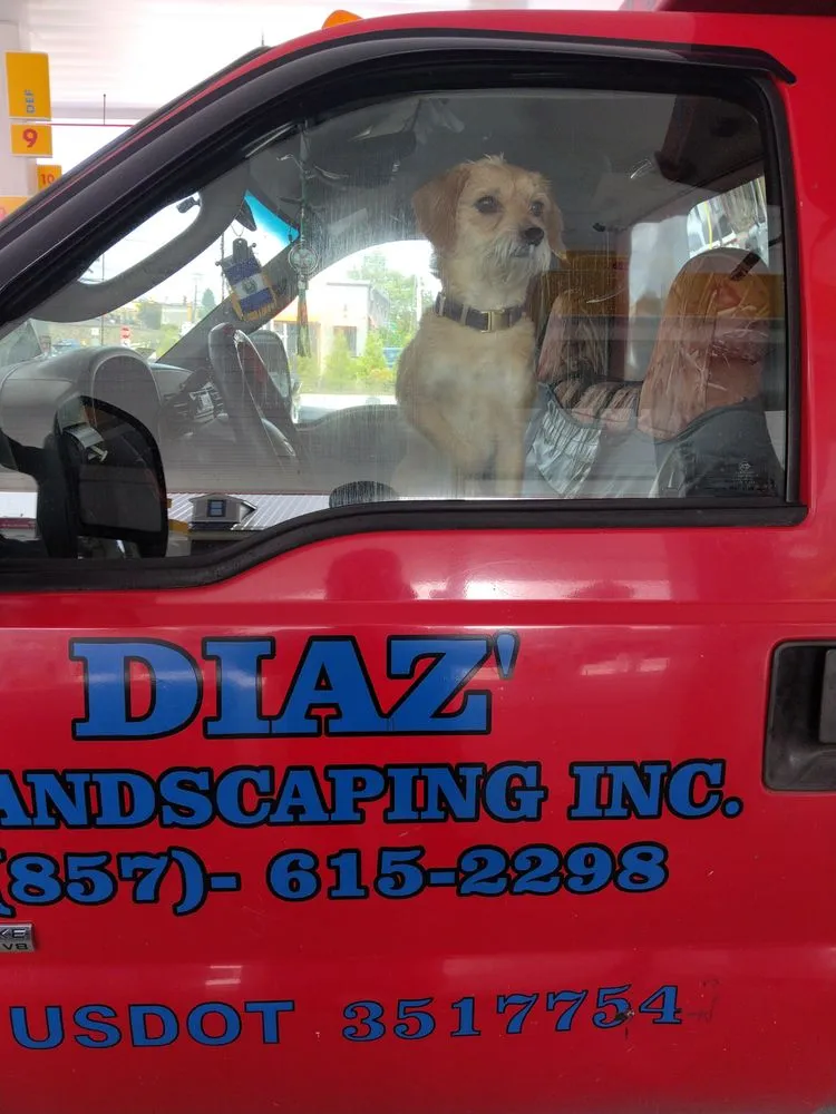 Custom yard cleanup service with custom design in Lowell, MA by Diaz Landscaping