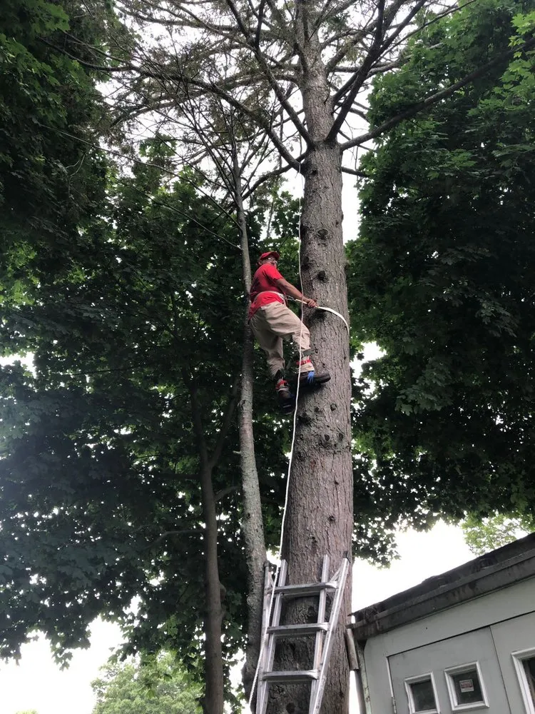 Professional outdoor landscaping for beautiful yards across Lowell, MA - Diaz Landscaping