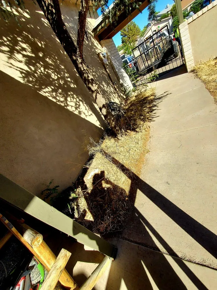 Top-rated landscape design for homes in Bernalillo, NM by Diaz Landscaping Management