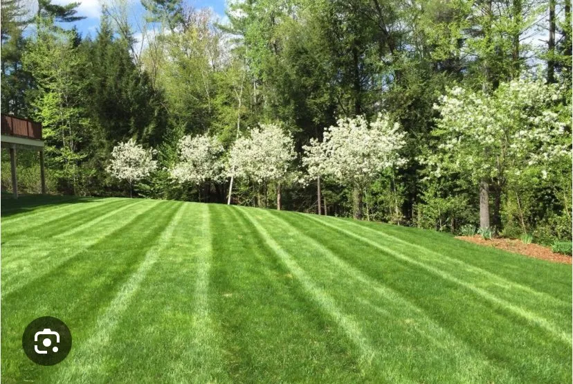Expert landscape installation for beautiful yards across Niagara Falls, NY - Diaz Landscaping