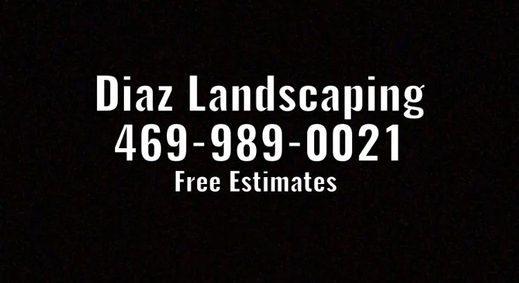 Professional yard cleanup service near you in Princeton, TX by Diaz Landscaping
