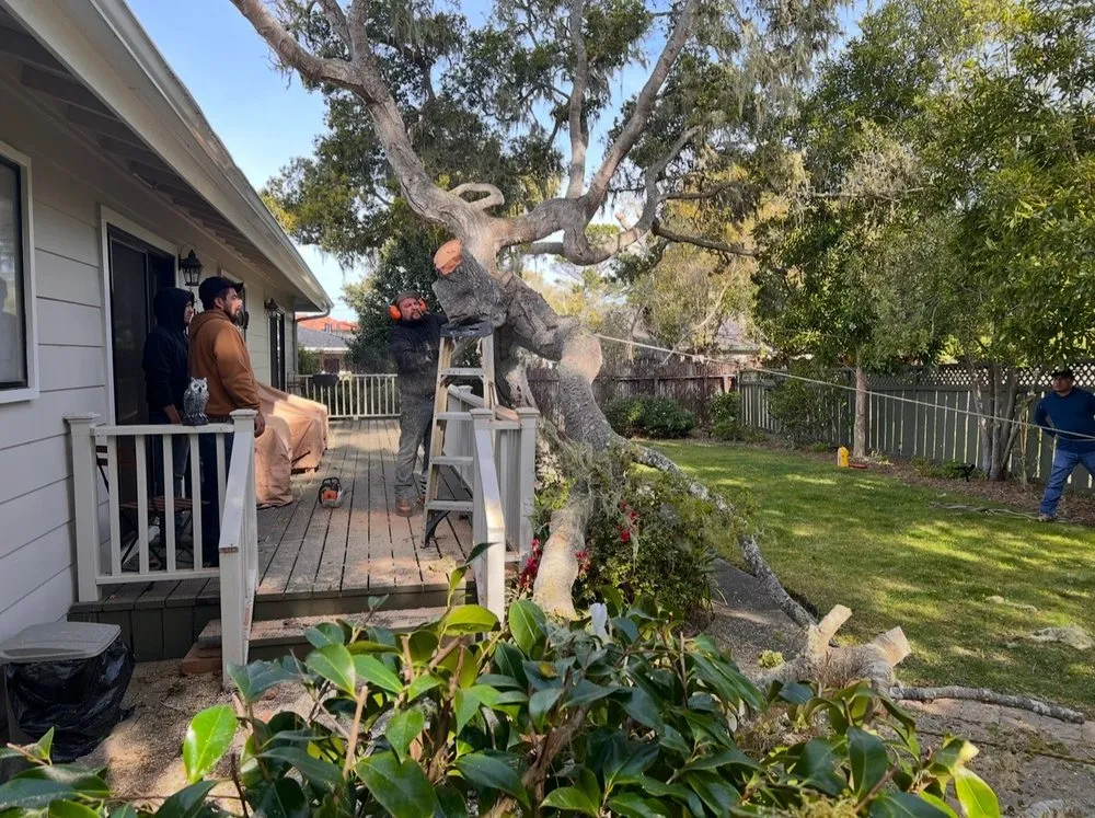 Local landscape installation in Seaside, CA - Diaz Landscaping