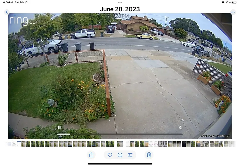 Expert landscape design in Seaside, CA by Diaz Landscaping