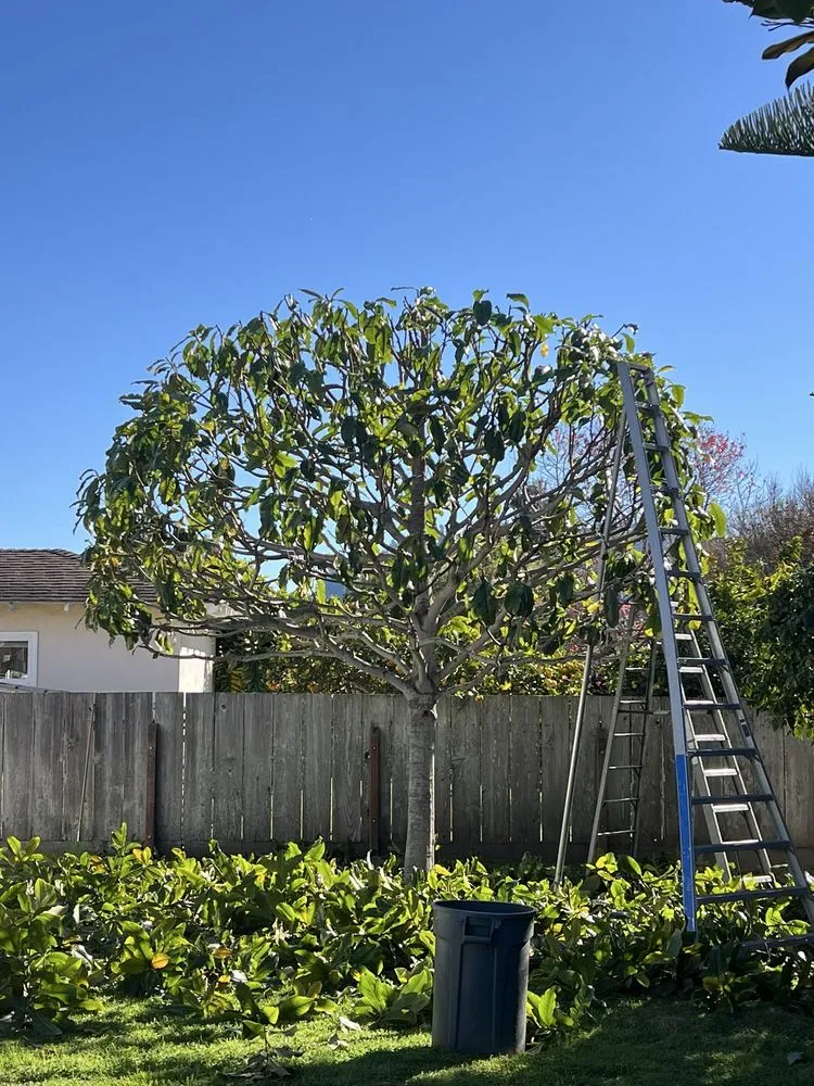 Reliable landscape design experts serving Seaside, CA - Diaz Landscaping