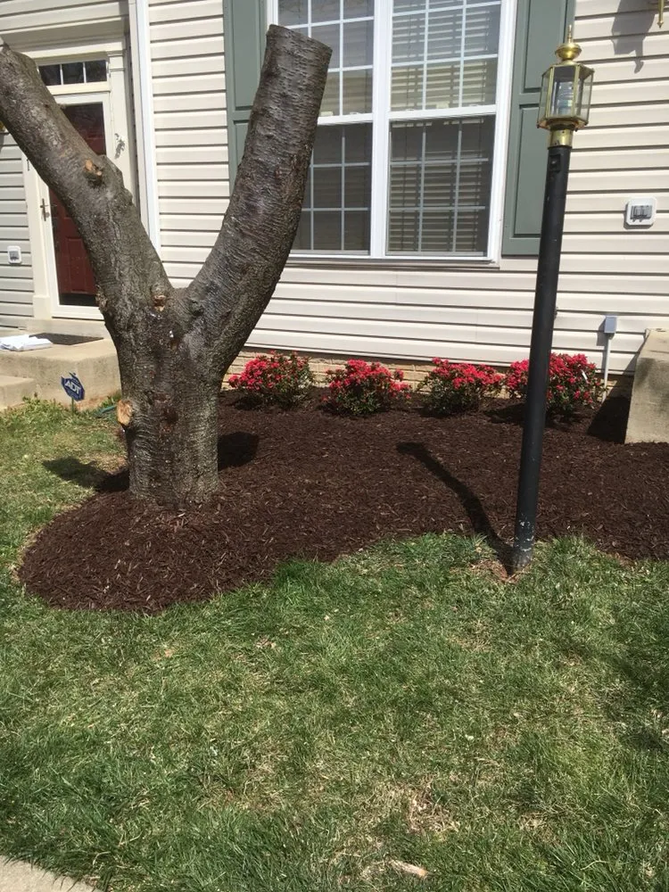 Top-rated residential landscaping for homes in Woodbridge, VA by Diaz Landscaping Services