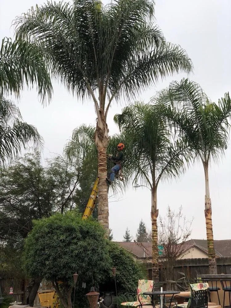 Professional lawn mowing service in Visalia, CA - Diaz Landscaping