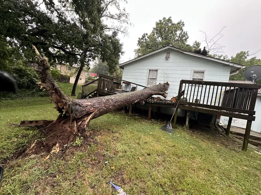 Custom yard maintenance for outdoor upgrades in Kansas City, KS by Diaz Lawn And Tree Service