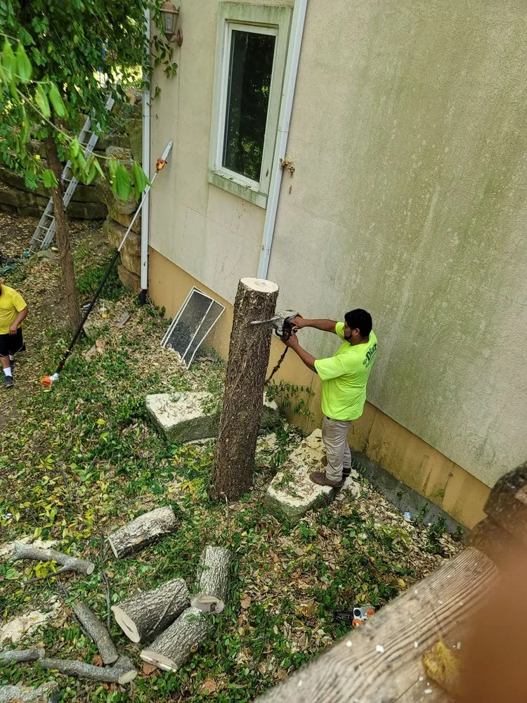 Professional landscaping services in Kansas City, KS by Diaz Lawn And Tree Service