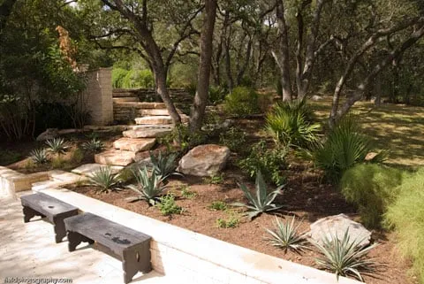 Expert yard cleanup service experts serving Austin, TX - Diaz Lawn