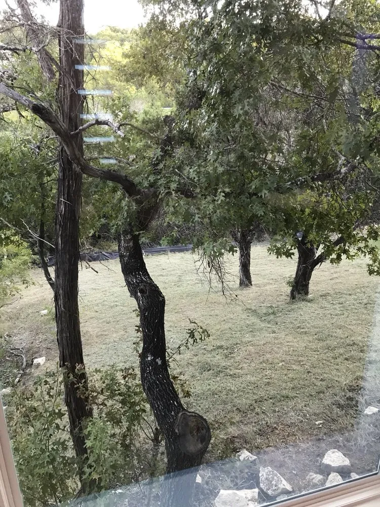 Professional residential landscaping with custom design in Austin, TX by Diaz Lawn