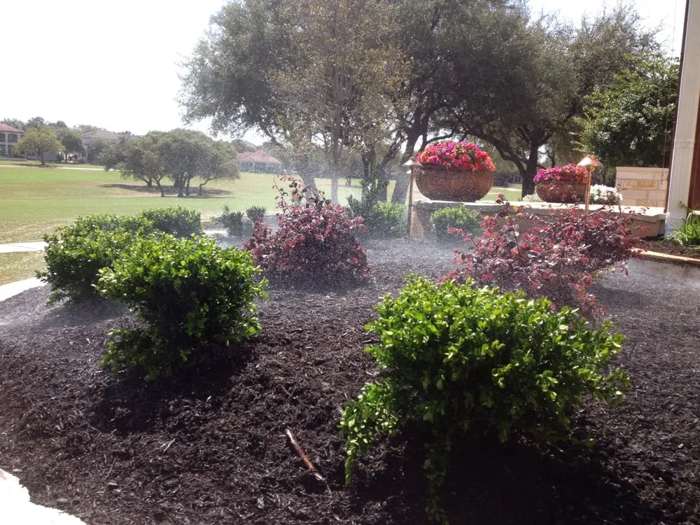 Reliable lawn mowing service in Austin, TX by Diaz Lawn