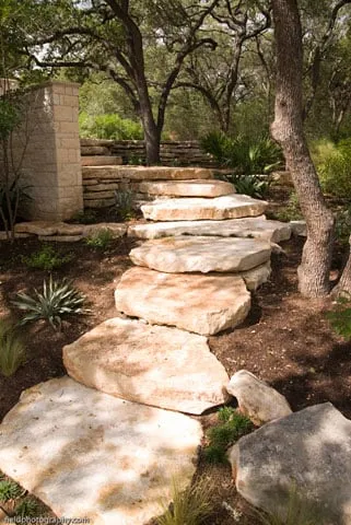 Affordable landscaping services in Austin, TX - Diaz Lawn