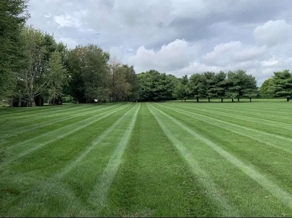 Local yard cleanup service for homes across Kankakee, IL - Diaz Lawn Care & Property Management