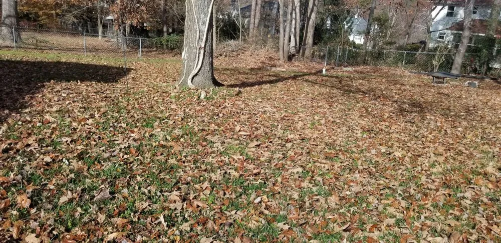 Professional outdoor landscaping experts serving Chattanooga, TN - Diaz Lawn Care And Landscaping