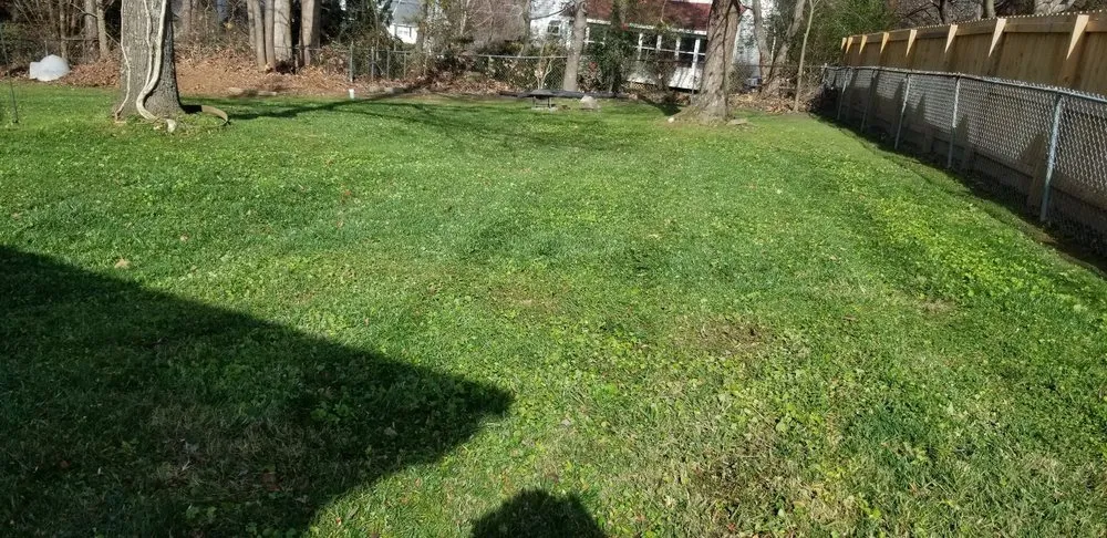 Affordable garden landscaping in Chattanooga, TN by Diaz Lawn Care And Landscaping