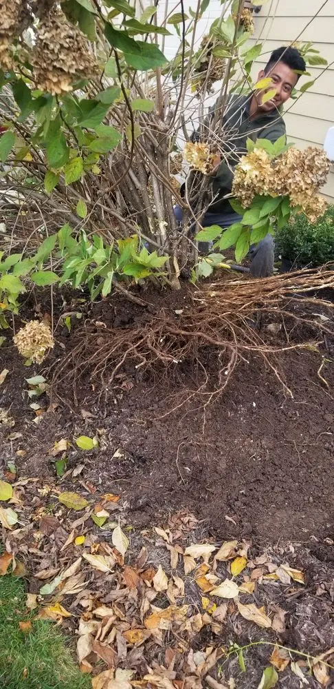 Local yard cleanup service for beautiful yards in Chattanooga, TN by Diaz Lawn Care And Landscaping