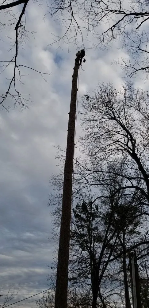 Reliable garden landscaping in Chattanooga, TN - Diaz Lawn Care And Landscaping