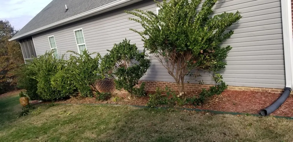 Top-rated outdoor landscaping experts serving Chattanooga, TN - Diaz Lawn Care And Landscaping