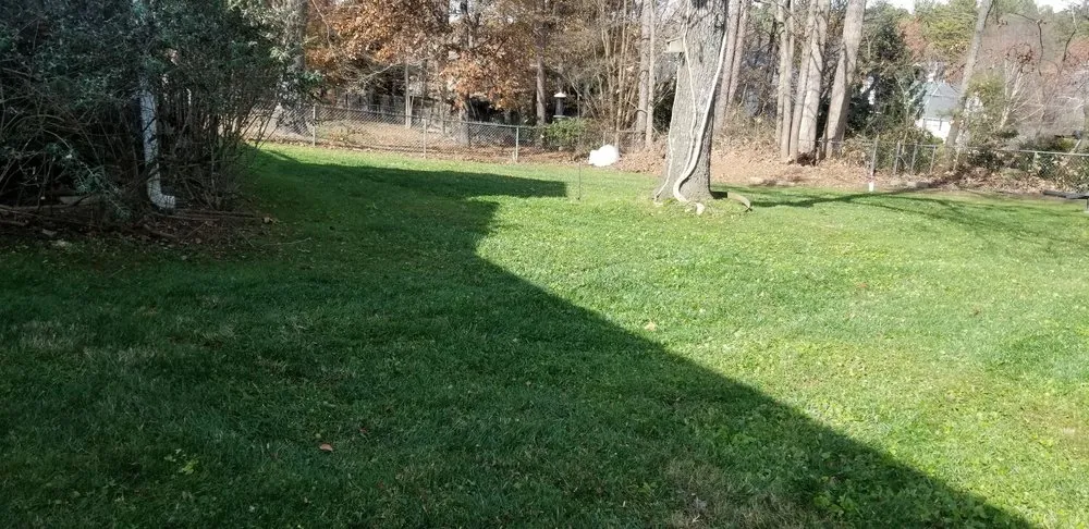 Top-rated lawn care service experts serving Chattanooga, TN - Diaz Lawn Care And Landscaping