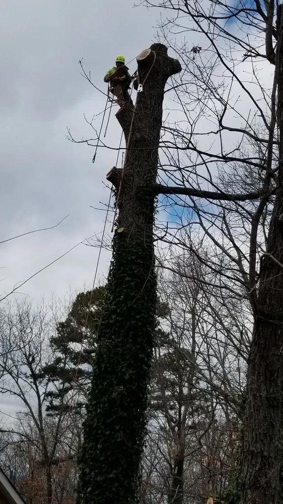 Custom lawn mowing service near you in Chattanooga, TN by Diaz Lawn Care And Landscaping