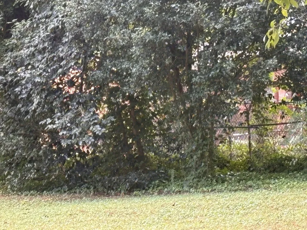 Affordable lawn mowing service with custom design in Conover, NC by Diaz Lawn Care