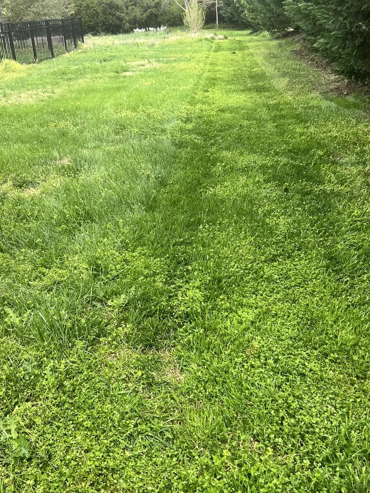 Affordable outdoor landscaping with custom design across Clover, SC - Diaz Lawn Care Service