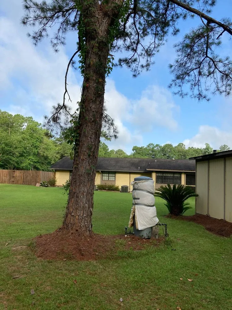 Trusted landscape installation for homes across Havana, FL - Diaz Lawn Service