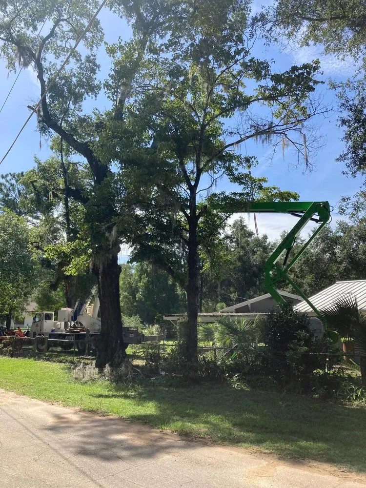 Expert lawn mowing service in Havana, FL by Diaz Lawn Service