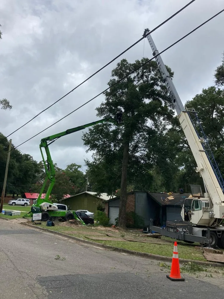 Local yard cleanup service near you in Havana, FL by Diaz Lawn Service