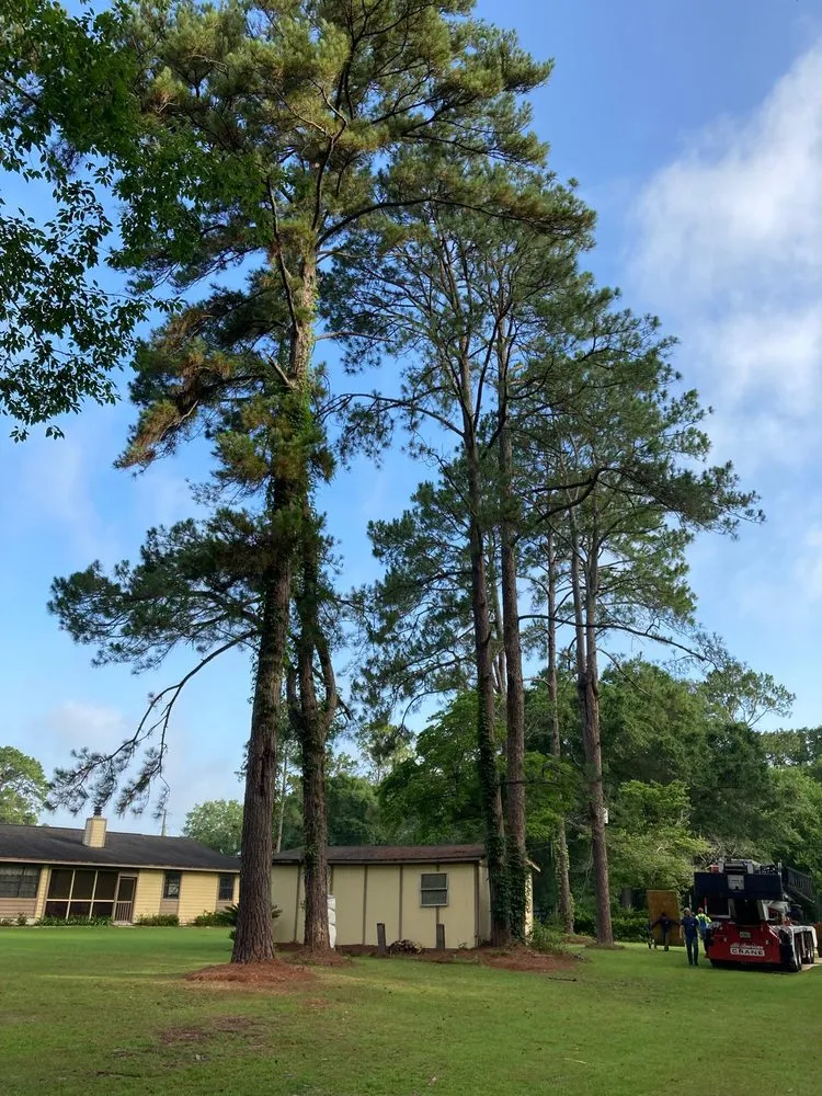 Expert landscape installation in Havana, FL - Diaz Lawn Service