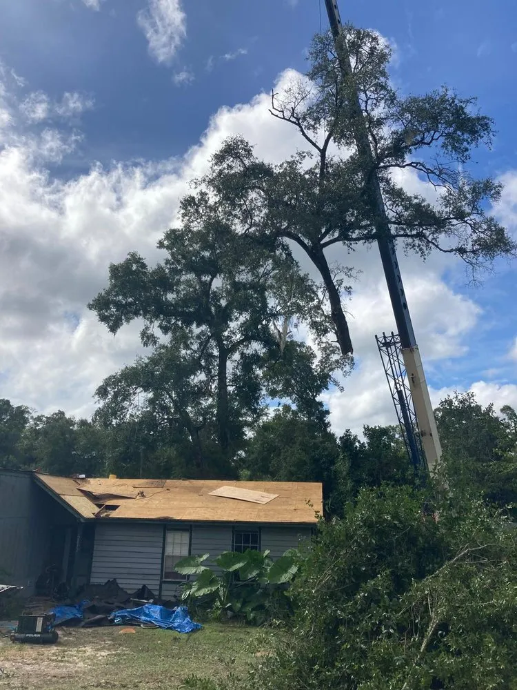 Top-rated yard cleanup service in Havana, FL - Diaz Lawn Service